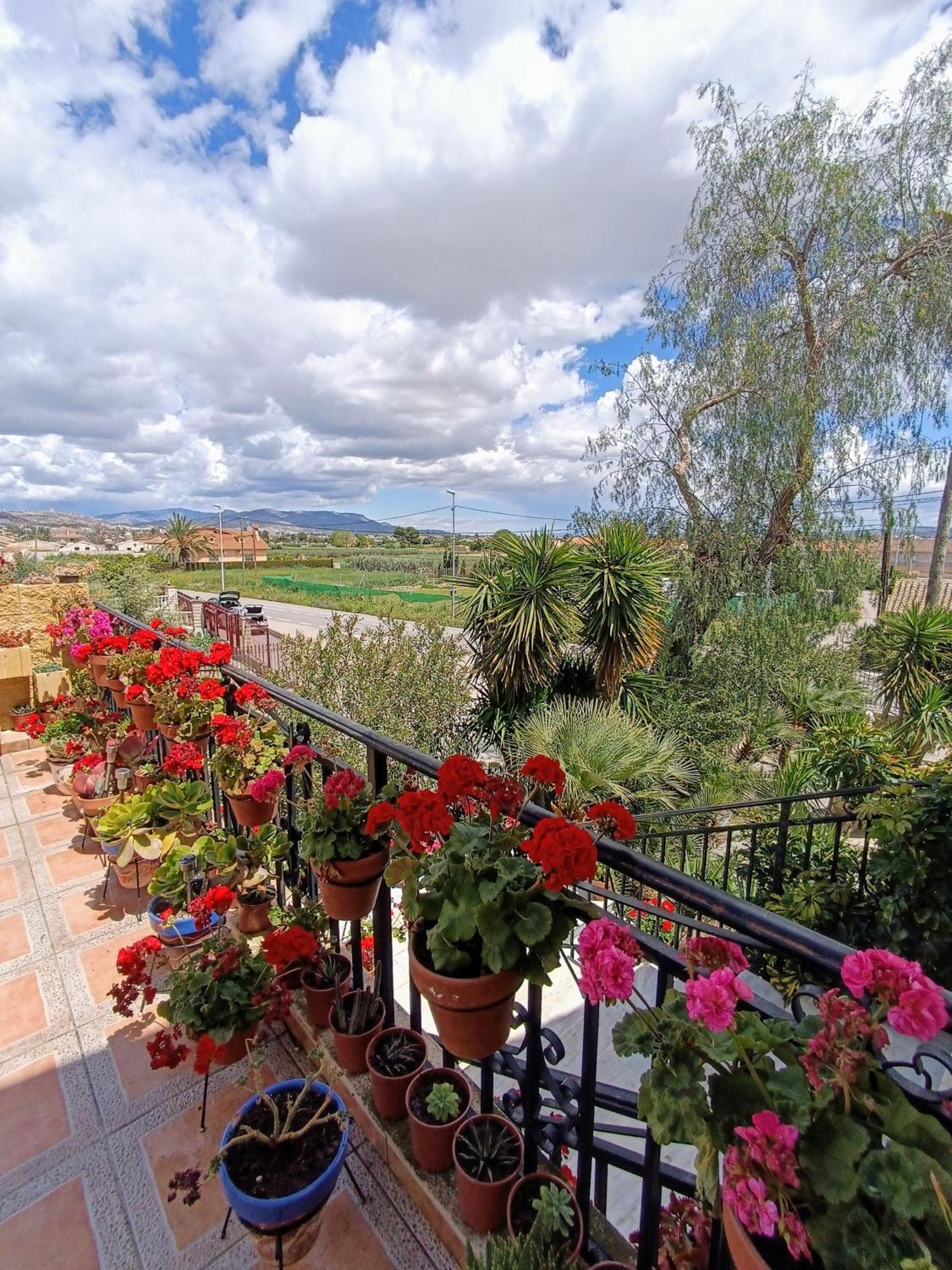 Casa Chalet Venta Ruizo 洛尔卡 外观 照片