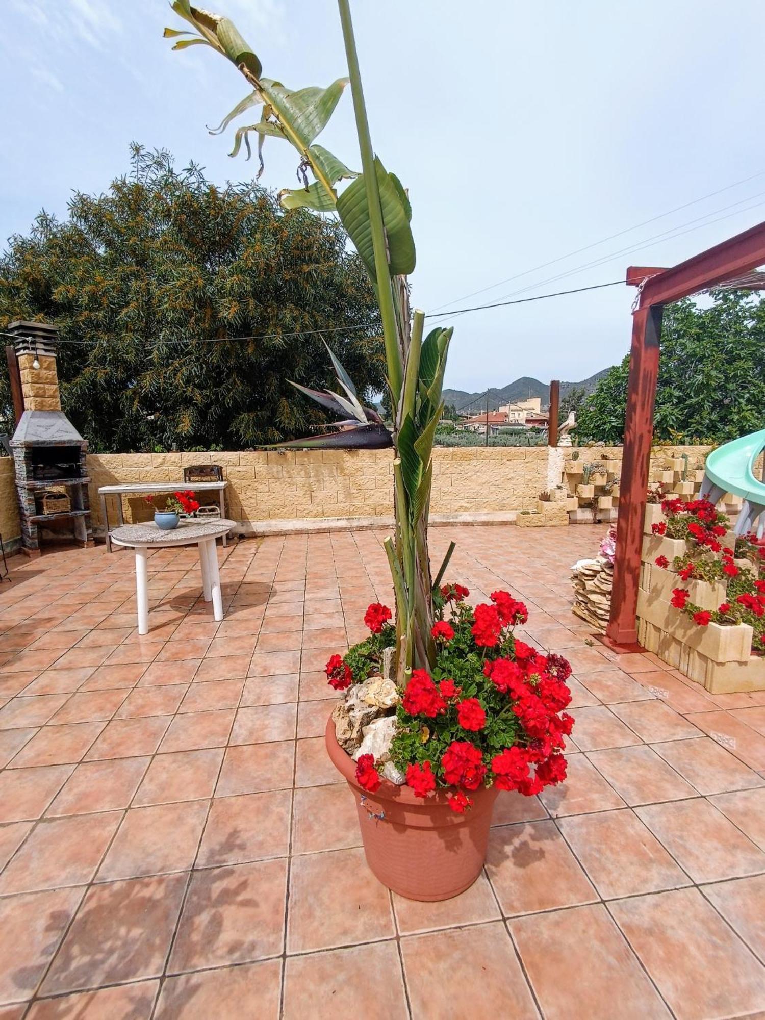 Casa Chalet Venta Ruizo 洛尔卡 外观 照片