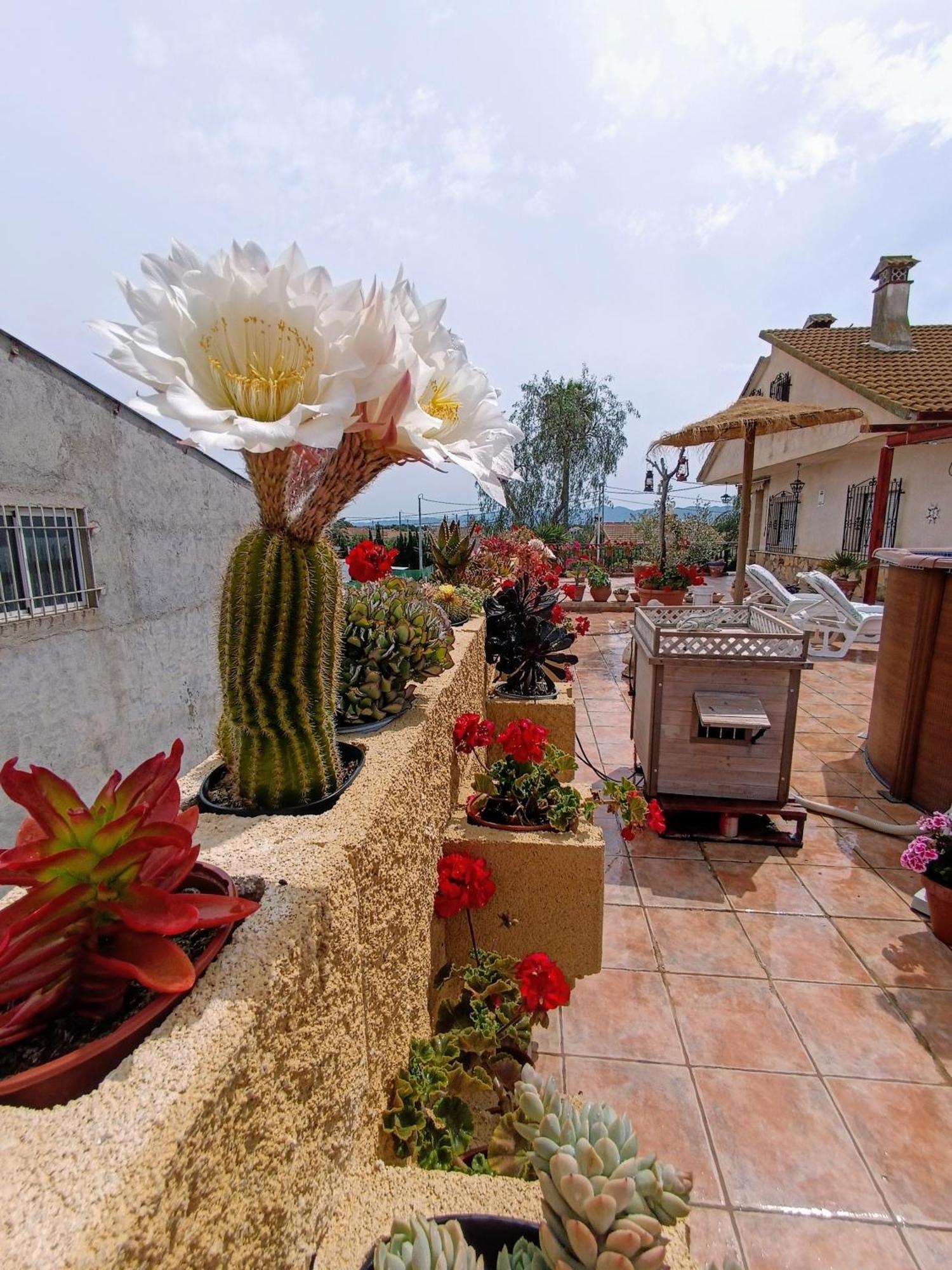 Casa Chalet Venta Ruizo 洛尔卡 外观 照片